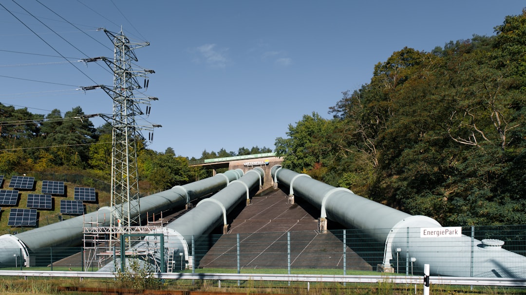 Growth Rocket A large pipe sitting next to a forest filled with trees