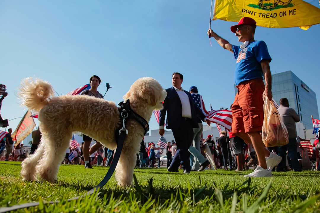 Growth Rocket man in blue polo shirt holding red umbrella standing beside white short coated dog on green